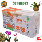 Sphagnum Moss Zealand New Premium Spagmoss Orchid Long Fiber Plants Brick 12L