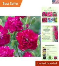Magenta Carnation Seeds - 1000 Pcs for Vibrant Floral Arrangements & Pollinators