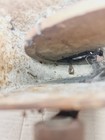 Bild 18 von 21
