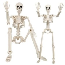 3Ft Halloween Decorations Outdoor/indoor, Two 36" Realistic Skull Bone White