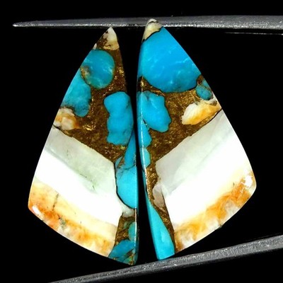 23.00Cts Orange Spiny Oyster Copper Turquoise Fancy Pair Loose Gemstone