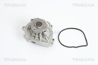 Triscan Wasserpumpe 8600 28024 FüR CitroËN DS Peugeot
