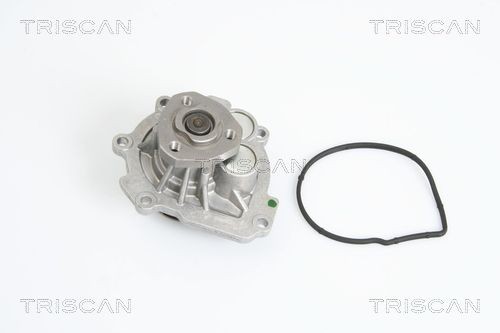 Triscan Wasserpumpe 8600 28024 FüR CitroËN DS Peugeot-image