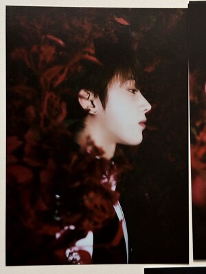 ENHYPEN DARK BLOOD Album Official Postcard | eBay