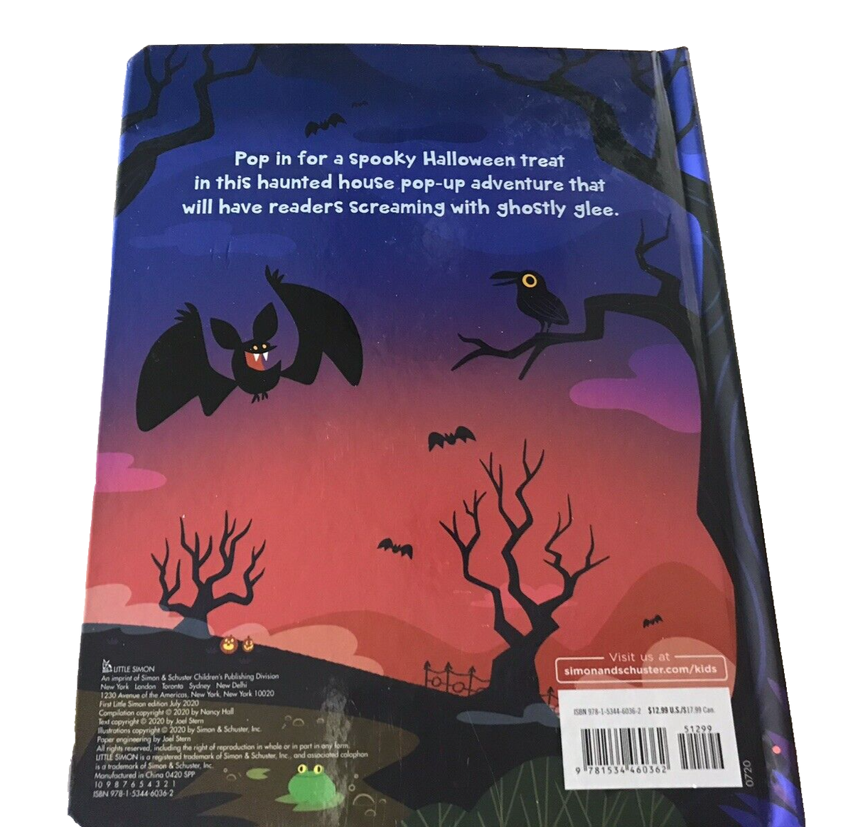 洋書 A Very Scary HAUNTED HOUSE A Very Scary Haunted House (Glows in the Dark): Barkan