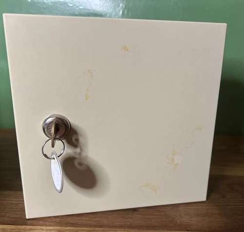 Vintage MMF Industries Key Locking Key Cabinet Holds 10 Keys Metal Strong Box - Picture 3 of 7