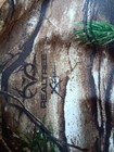 Bild 8 von 16
