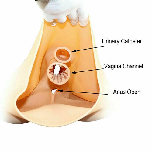 Art Silicone Transgender Thicken Hip Underwear Crossdressers Vagina Panties - Picture 2 of 8