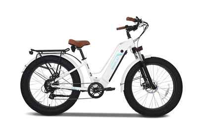 EMOJO Breeze Pro Electric Bicycle Fat Tire 500w 48v e-Bike