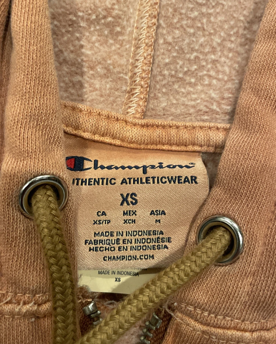 Champion Small Logo Hoodie in tan-Brown