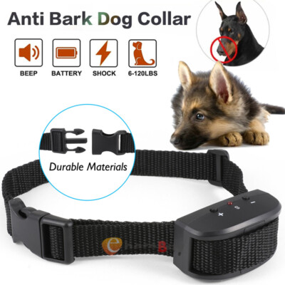 Anti Barking E-Collar No Bark Dog Training Shock Collar for Small Medium  Dog US