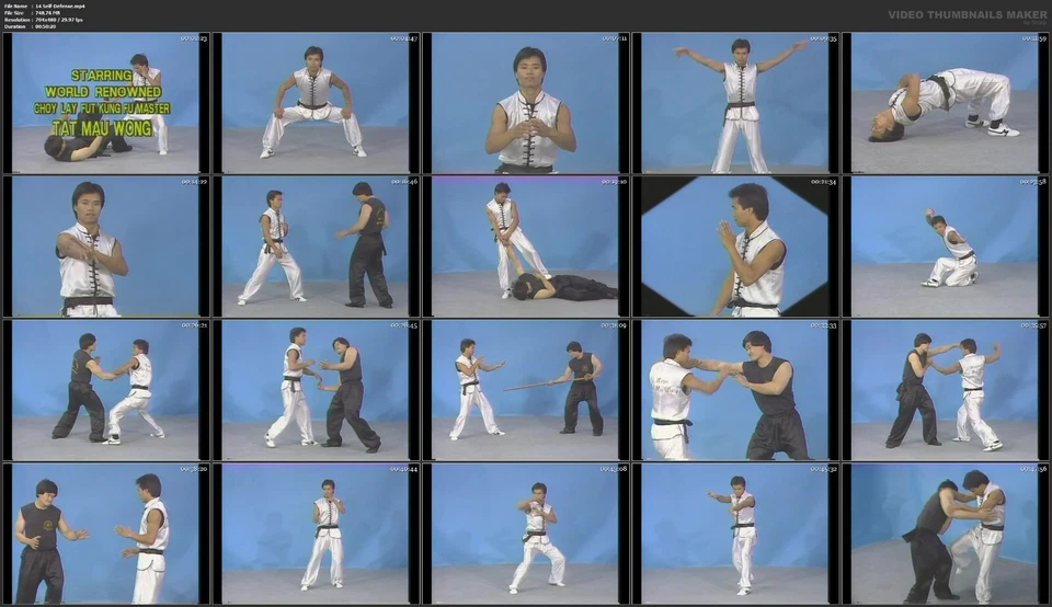 Choy Lay Fut Kung Fu and Chinese Lion Dancing starring Tat Mau Wong (19 DVD Set) Foto 3 de 4