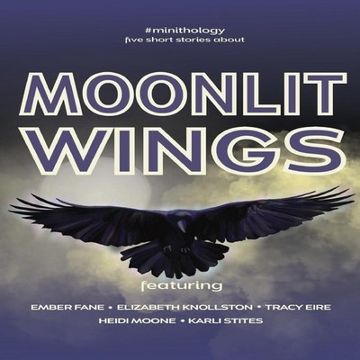 Moonlit Wings 3Feathers Publishing Paperback 3Feathers Publishing