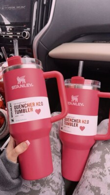 Exclusive Target Stanley's Valentine's Day 40 oz Heart Flask in