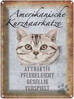 Blechschild 40X30 Cm Americanische Katze Kurzhaar Deko Geschenk Holz Schild