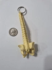 VTG Chiropratic Center Key Chain Charm  Archbald Pa  keyring keychain key fob