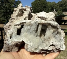 Druzy BLUE Agatized Coral Chalcedony Nutall Rise Aucilla River, FL UV Reactive