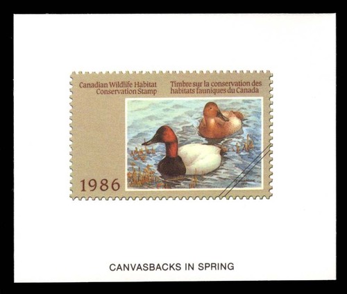 CD2 Duck Print Stamp Proof - 第 1/2 張圖片