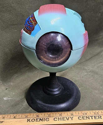 Human EYE Model Anatomy 7 Part  Anatomical Eye Model w/ Base Doctor's Office
