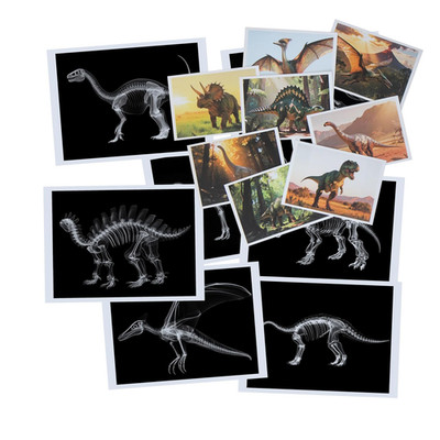 Animal X-Ray Teaching Set, 16 Plastic Specimens for Kindergarten Preschool
