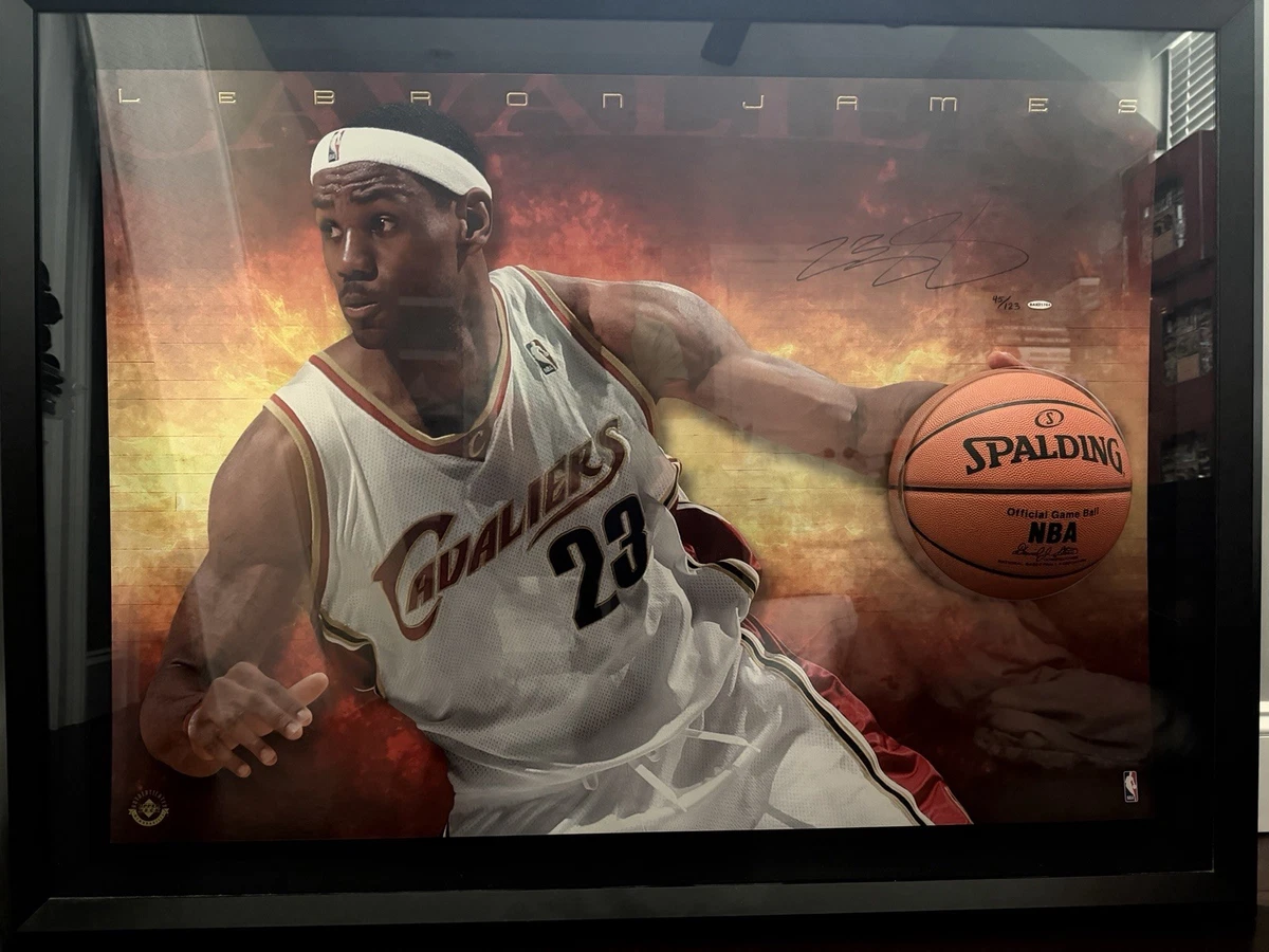 Upper Deck LeBron James Cleveland Cavaliers NBA Original 