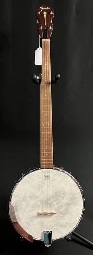 Fender PB-180E Paramount Open Back 5-String Banjo w/ Fishman Pickup (209)