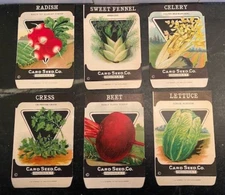 NOS Card Seed Company Greene Lithograph Vintage unused Seed Packets Fredonia N.Y