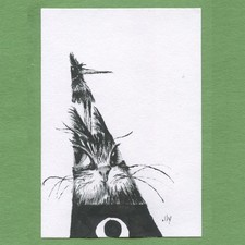 ACEO art card original pen and ink drawing pop surreal Ink Cat 34 Tim Olly