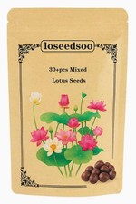 30PCS Premium Lotus Seeds for Planting in Water Mixed a variety of colors
