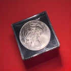 2013 WALKING  LIBERTY SILVER EAGLE -  1 oz - .999 Fine