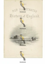 Calshot Castle, Hampshire, Book Illustration (Print), c1870