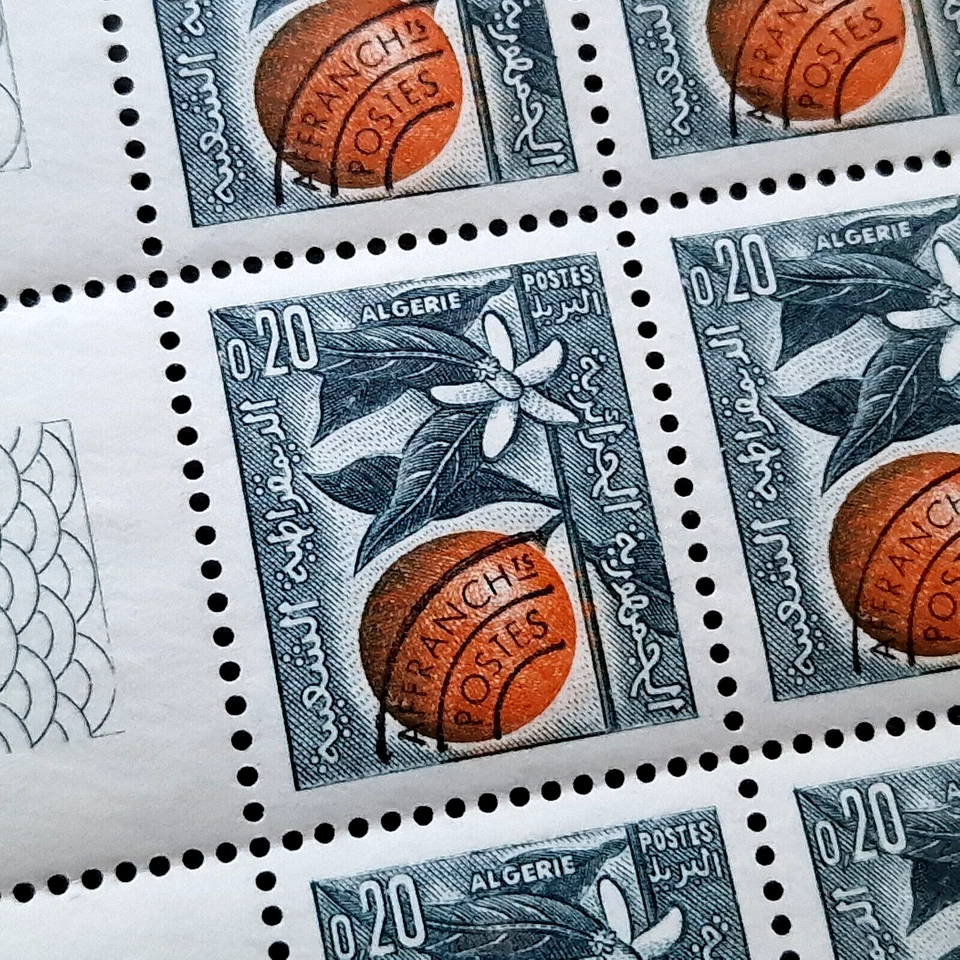 Algeria 1963 - MNH - 200 Stamps - 4 Sheets - Full 50 Sets - Image 3 of 4