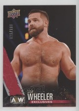 2021 AEW All Elite Wrestling Exclusives 21/100 Dash Wilder Cash Wheeler #31 d9r