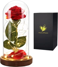 Enchanted Red Rose in Glass Dome with Lights Romantic Gift for Women