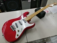 ESP ST ORDER Stratocaster type