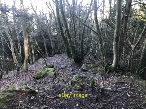 Photo 12x8 Steep descent from hill fort Chapel Hill\/SO5200  c2021 - Picture 1 of 1