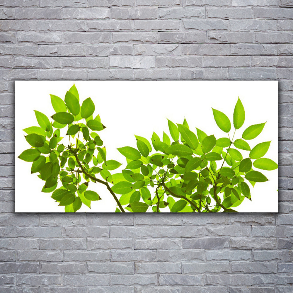Photo sur toile 120x60 cm avec impression de branches et feuilles style nature sauvage