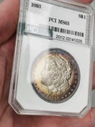 1893 p morgan silver dollar Rainbow Rim Toner Coin PCI Rare Key Date