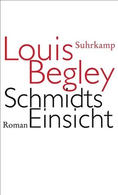 Schmidts Einsicht