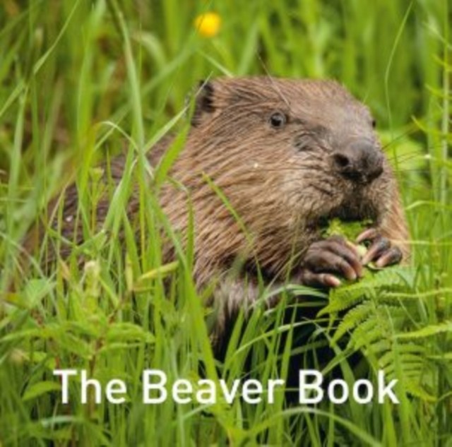 Graffeg Limited The Beaver Book (Nature Book Series) - Image 5
