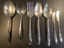 Oneida Community Plate White Orchid Silver-plated Vintage Utensils Set of 7