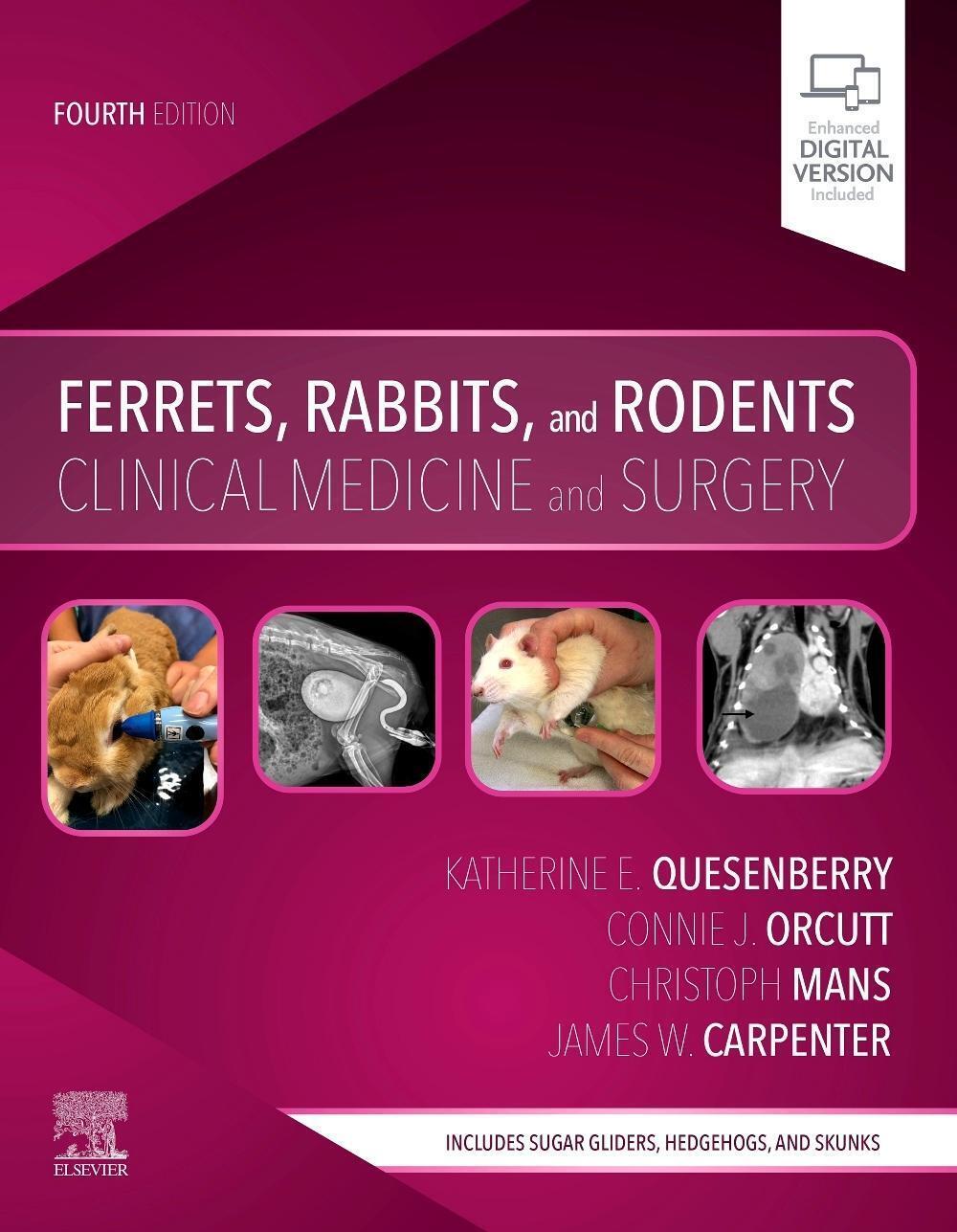 Thumbnail - Ferrets, Rabbits, And Rodents | Clinical Medicine And Surgery |