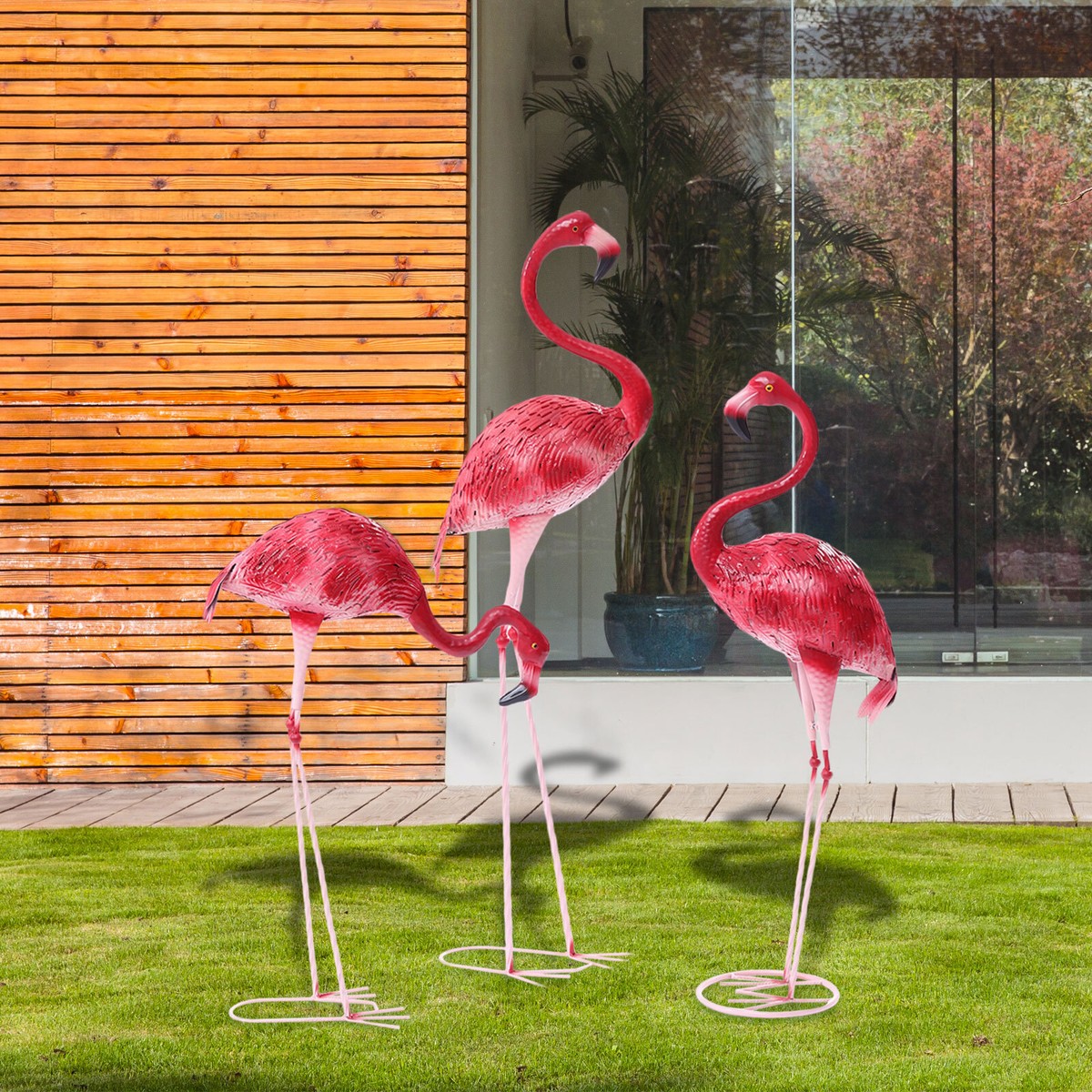 Flamingo\