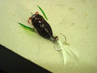 16  lures For the surface Bass fisherman new Free Shipping see details  Lot J23 — photo 9