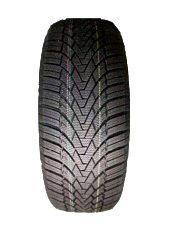 Arivo Winmaster Prox Arw3 225/40R19 93V Xl Bsw - Bild 2