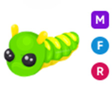 Adopt Your Pet  MFR Caterpillar  Fast Delivery Roblox