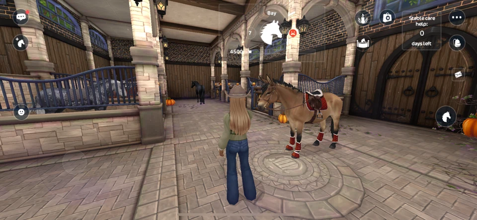 Starstable Online account im selling my sso account since I don’t play anymore. - Image 3 of 4