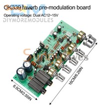 PT2399 Scheda Amplificatore Audio Microfono Scheda Riverbero Musica AC12-15V OK339