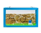 Sand Ant Farm 3D(Anthill, Formicarium, Educational, Ants)