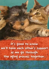 Good to Know  Yorkshire Terrier and Cat Funny Dog and Cat Birthday Card